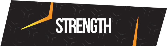 NUTRIGO LAB STRENGHT